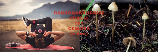 экстази Алексеевка