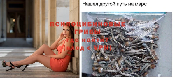 тгк Алзамай