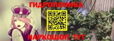 молекула духа Малгобек