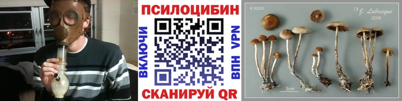 даркнет сайт  Самара  Псилоцибиновые грибы мицелий 