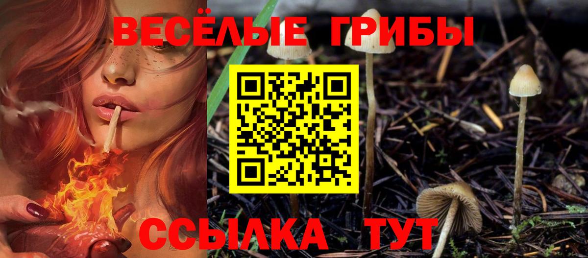 Псилоцибиновые грибы ЛСД  Вход с VPN  Самара 